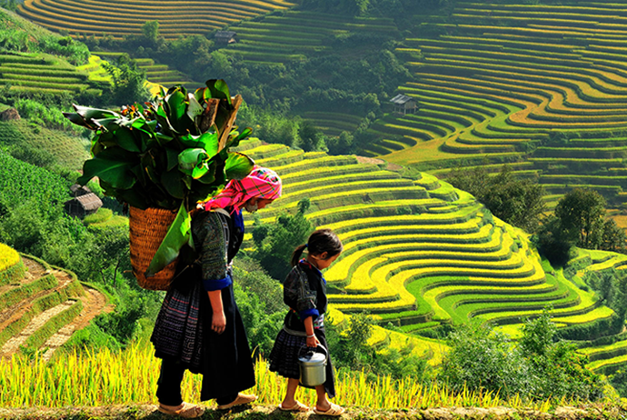 Du Lịch Trong Nước